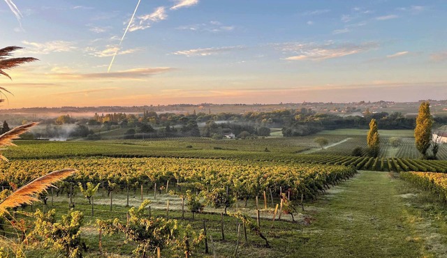 Maison 2 chambres, proche saint Emilion
