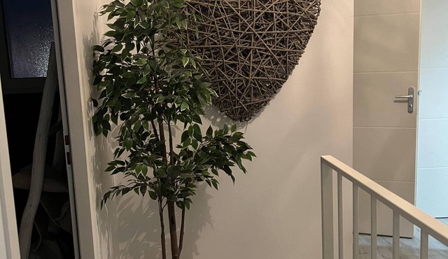 Maison 3 Chambre Près de Béziers