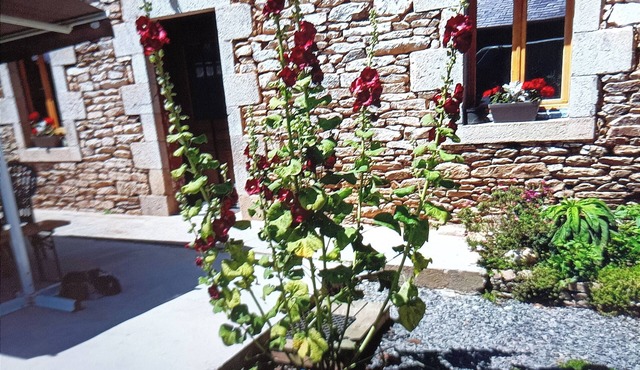 Maison 3ch 5km des Plages Familiales ou Surf, gd Jardin Calme,animaux Acceptés