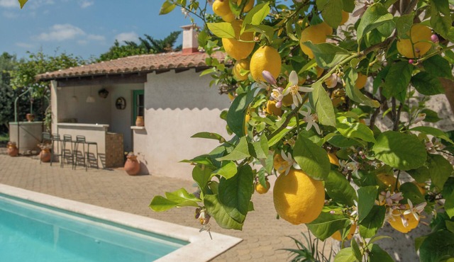 Maison 4 chambres avec piscine à Fontvieille