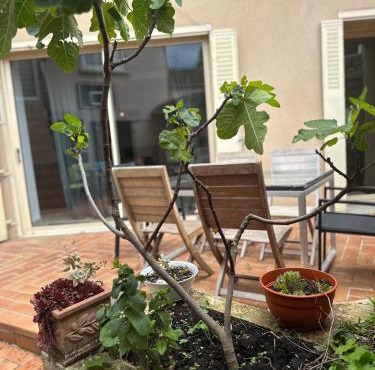 Maison 6 ch avec jacuzzi, PROMO AUTOMNE 2025