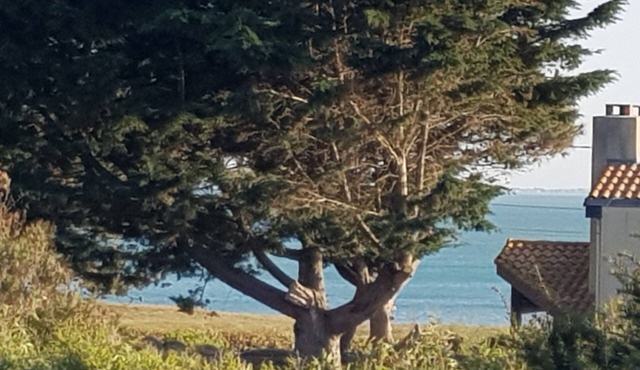 Maison A Prefailes VUE Mer