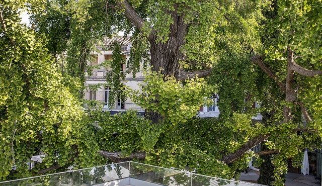 Maison Albar Hotels L'Imperator