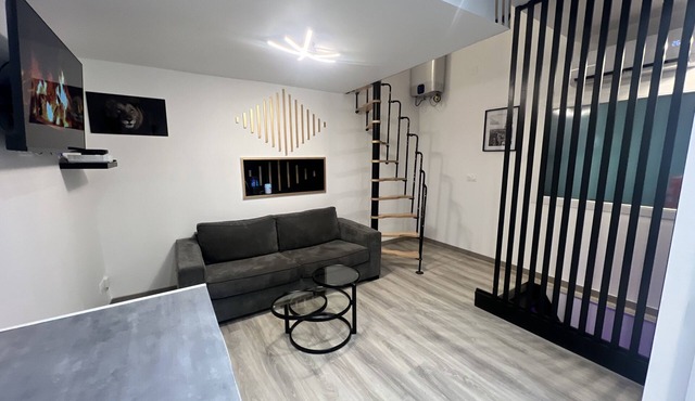 Maison Appartement Triplex Avec Jacuzzi et Sauna