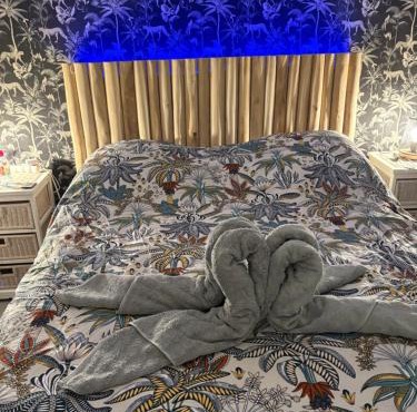 Maison atypique 5 couchages ,2 lits doubles et un lit simple ! avec un grand terrain !animaux bienvenus !wifi netflix écran plat 4k