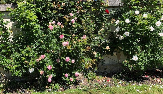 Maison au bord de l’Indre, Beaulieu-les- loches