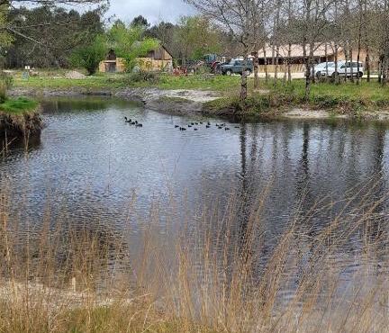 Maison au milieu de la foret classée 4 étoiles