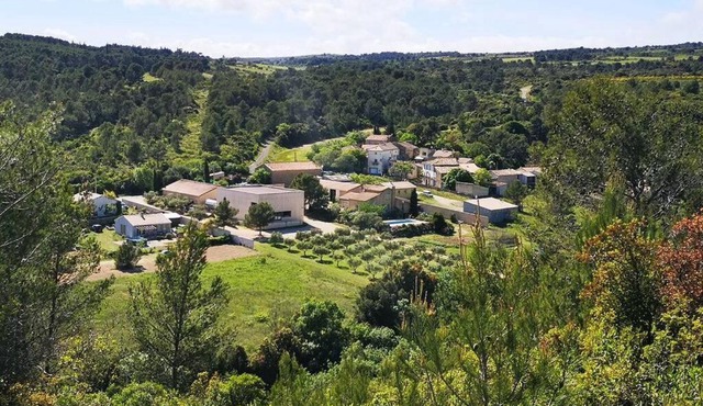 Maison au milieu des vignes