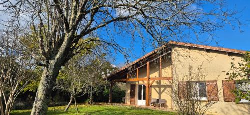 Maison au milieu des vignes