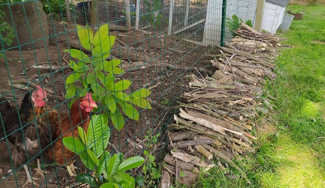 Maison Avec Grand Jardin Clos, Entre Terre et Mer, au Calme, Proche de Lorient
