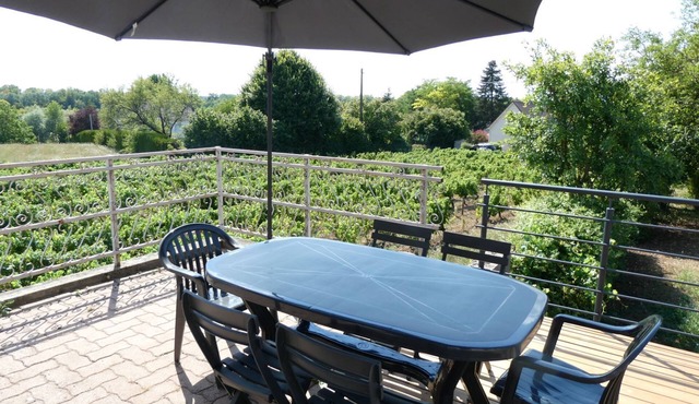Maison Avec Jardin Entouré de Vignes, et Terrasse vue Loire