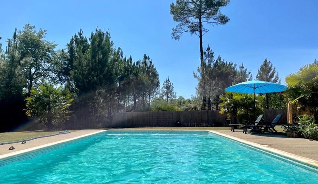 maison avec piscine au cœur de la forêt