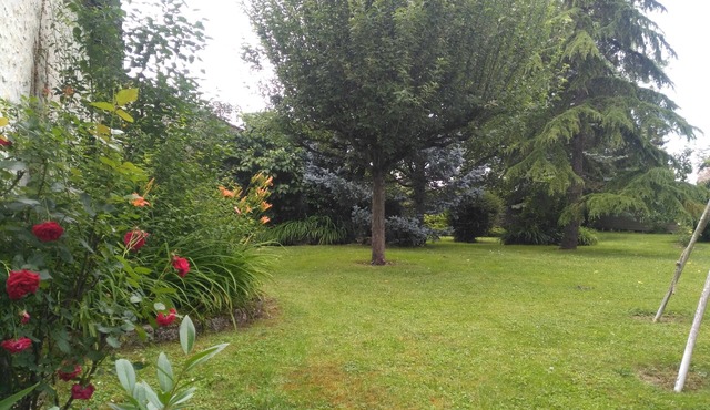 Maison bourgeoise and landscaped garden (5 mn from Provins)