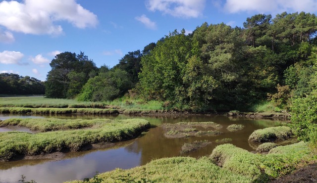 Maison Bretagne 4 ch 2 SdB Jardin Terrasse Plages