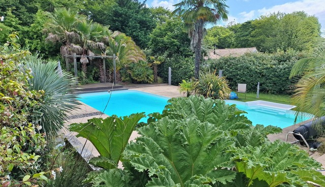 Maison Côté Bordeaux - Saint Émilion - Swimming pool