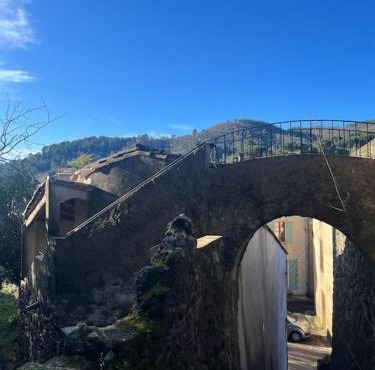 Maison cévenole typique et son jardin suspendu