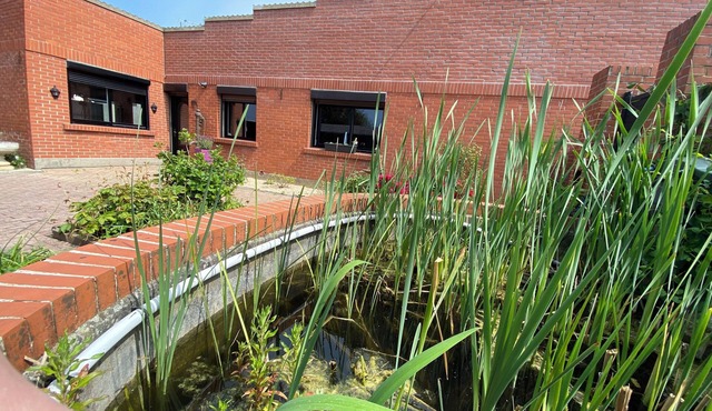 Maison Calme Coeur des Weppes