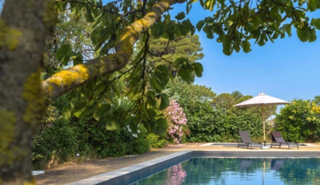 Maison Cantalauze, two houses at a heart of a vineyard