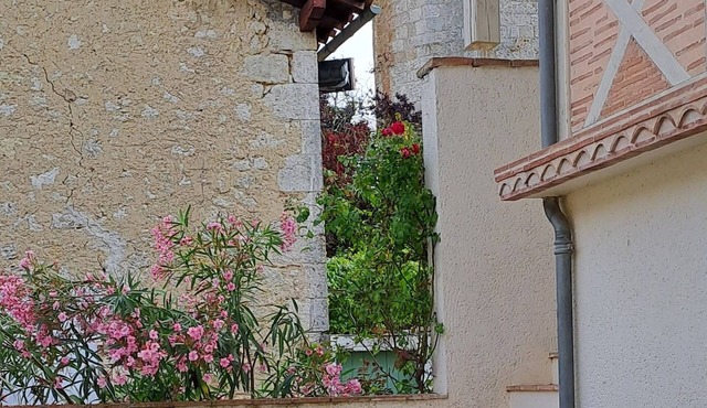 Maison Centre Village Historique