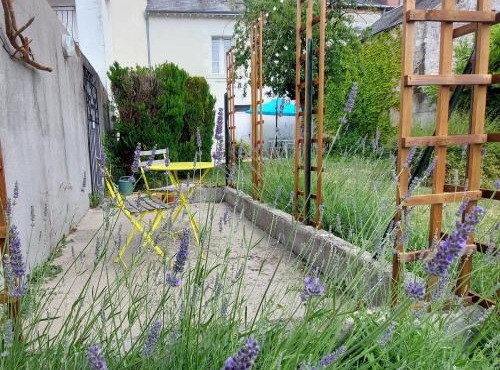 Maison charmante avec jardin près de Tours et Châteauroux - FR-1-591-594