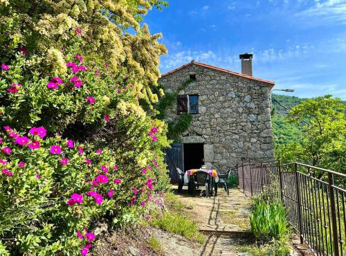 Maison charmante à Valleraugue avec piscine partagée.