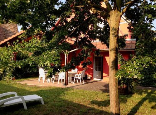 Maison charmante à Stotzheim avec jardin et terrasse