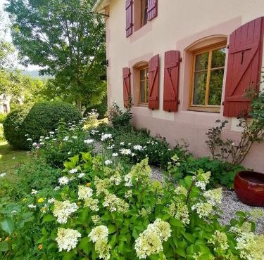 Maison charmante dans le village de Taintrux avec jardin
