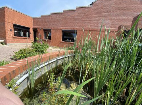 Maison coeur des Weppes La Maralbique