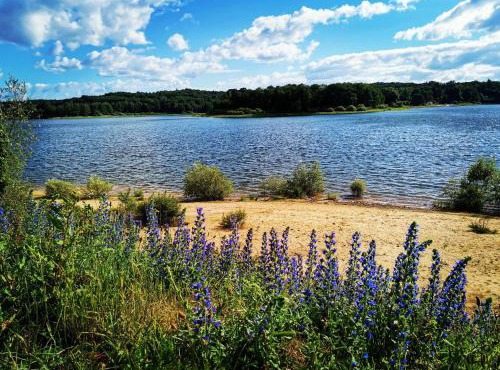 Maison conviviale avec terrasse privée à Sanchey - FR-1-589-800