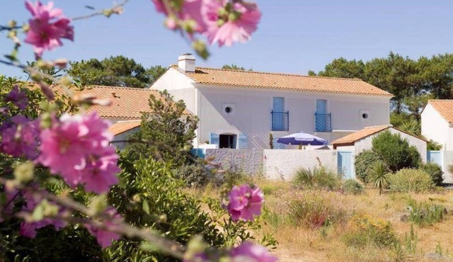 Maison cosy à 250m du lac | Entrée privée!