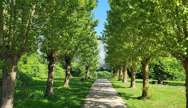 Maison Cosy au Calme à 15 mn du Centre de Lille