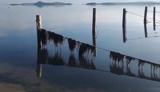 Maison d 'Été Gîte. Mountain views set in vineyards