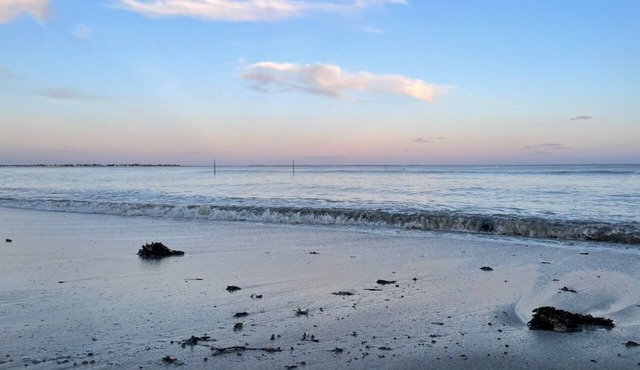 Maison D'architecte vue Mer, Accès Direct à la Plage au Bout du Jardin