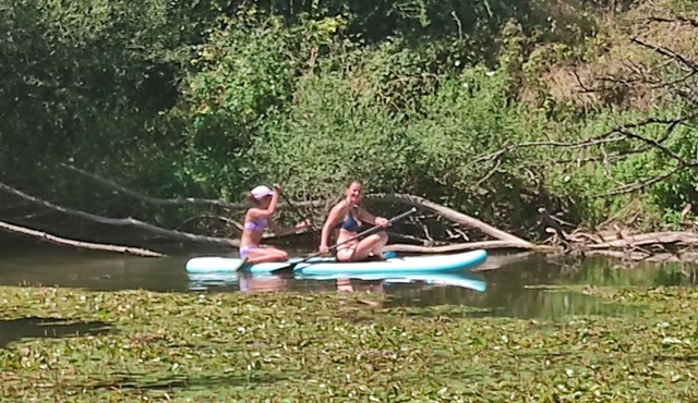 Maison d'artiste en Bord de Rivière - Canoeing, Calm & Escape.