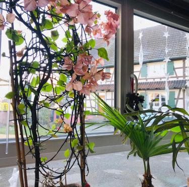 Maison d'hôtes Aux Deux Cigognes