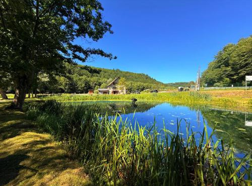 Maison d'hôtes en pleine nature avec chevaux