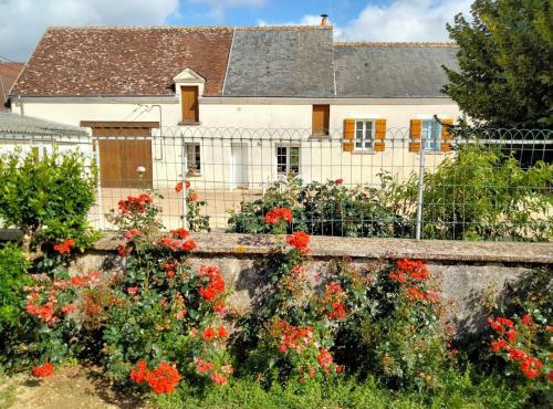 Maison dans les vignes - proche Chenonceau Beauval