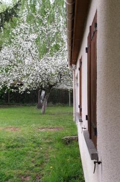 Maison dans un cadre verdoyant pour amoureux de grands espaces