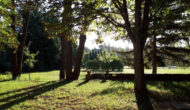 Maison de Campagne Dans Parc Arboré
