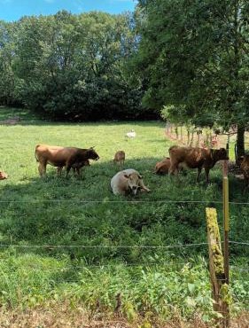 Maison de campagne à Bouisse