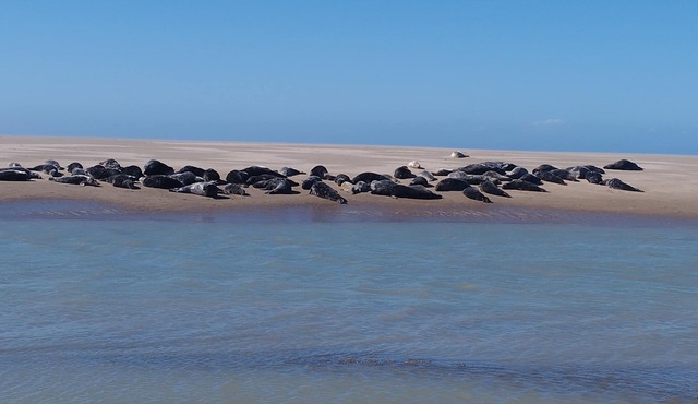 Maison de Campagne à 10 Minutes à Pied de la Plage