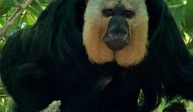 Maison de Campagne 145 m2 5 ch 15 Couchages, 3