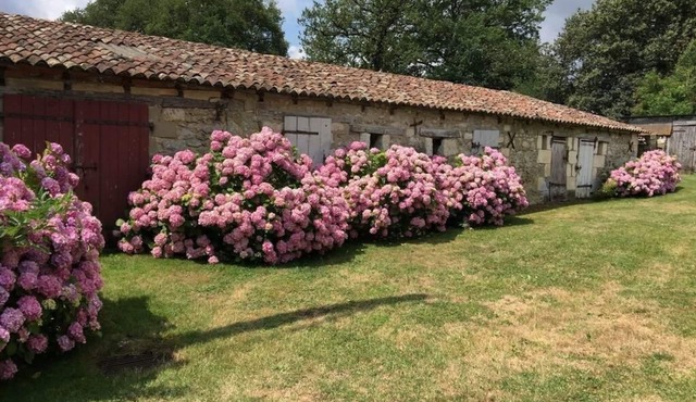 Maison de Campagne - 4ch - Poitiers/Dienné