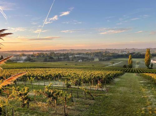 Maison de caractère au cœur des vignes