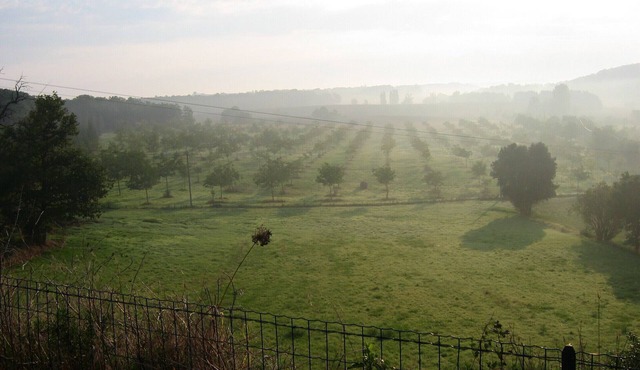 Maison de Caractère Avec Piscine Privative