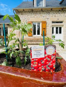 Maison de caractère rénovée avec terrain de pétanque