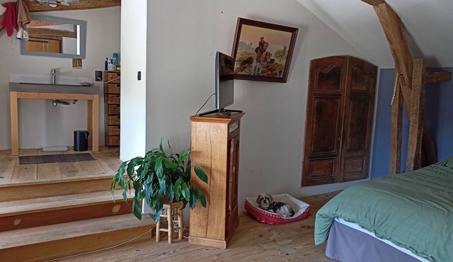 Maison de Charme au Cœur D'un Très Grand Parc Arboré