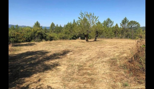 Maison de charme avec terrain et forêt