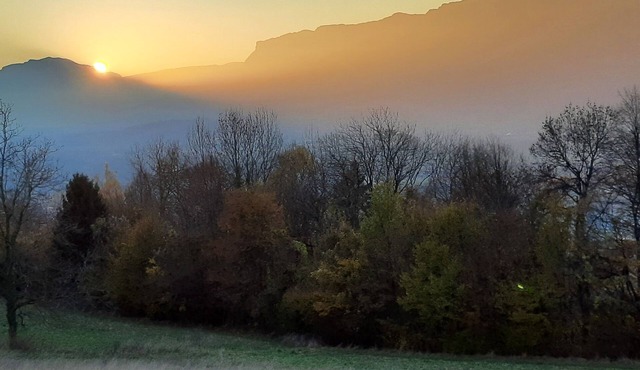 Maison de Charme en Lisière de Forêt, Calme Absolu