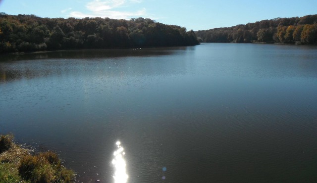 Maison de L`ETANG in the heart of large oak Forest of Troncais. Allier.